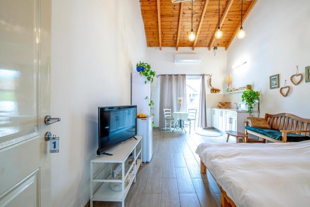 רז אירוח ברמה Villa Katzrin Luaran gambar